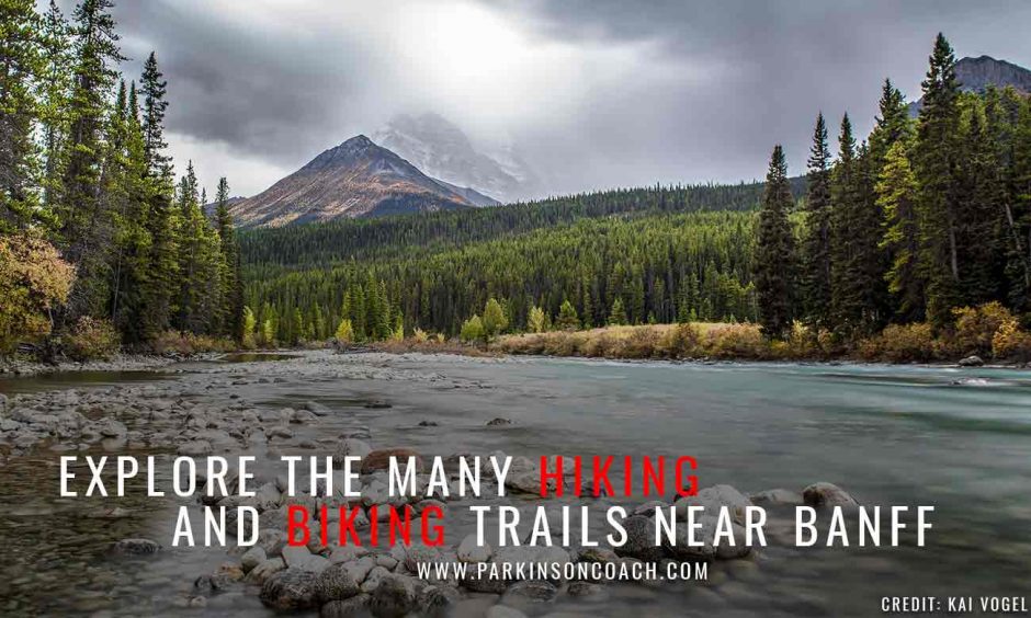 The Best March Break Destinations in Canada Parkinson Coach Lines