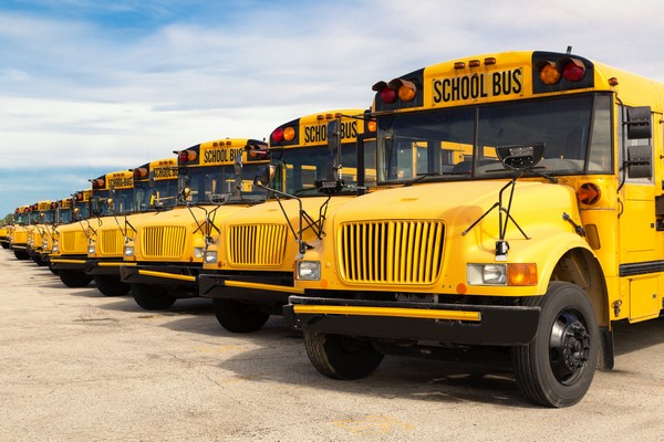 school buses