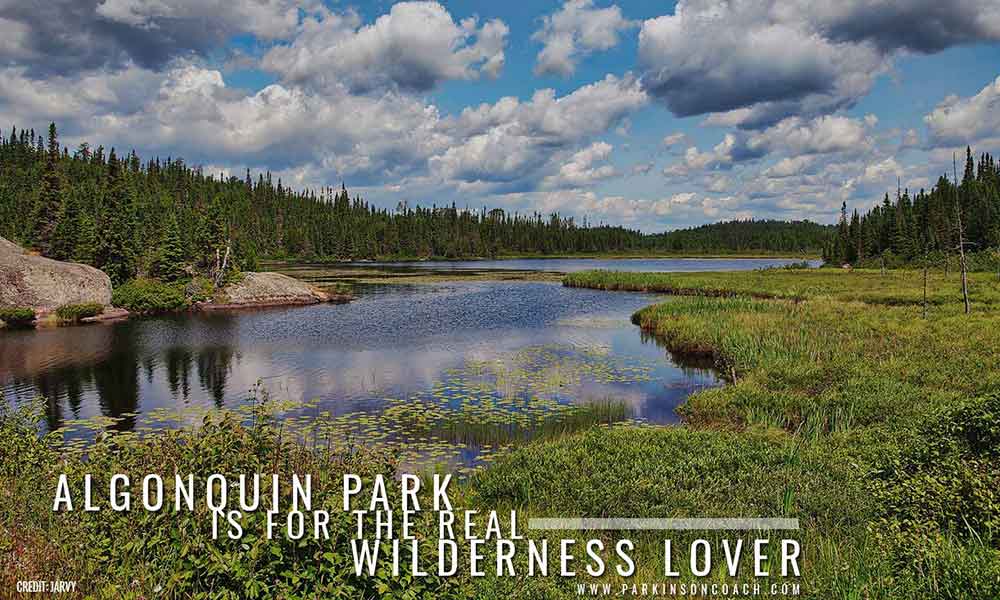 Algonquin Park is for the real wilderness lover