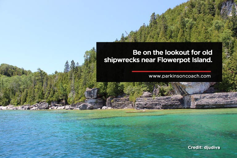 Be on the lookout for old shipwrecks near Flowerpot Island.