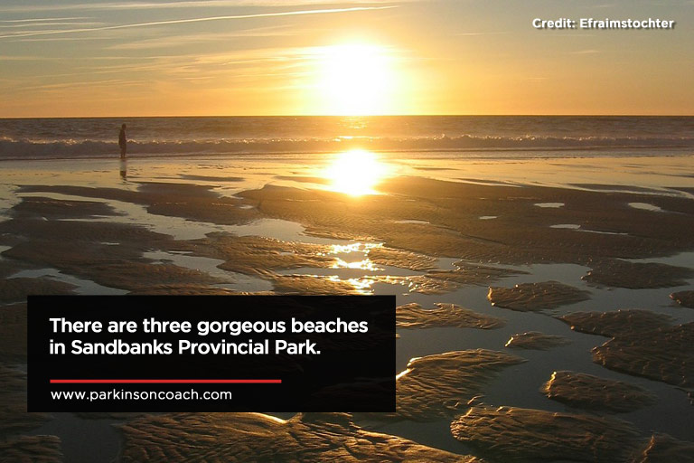 There are three gorgeous beaches in Sandbanks Provincial Park.