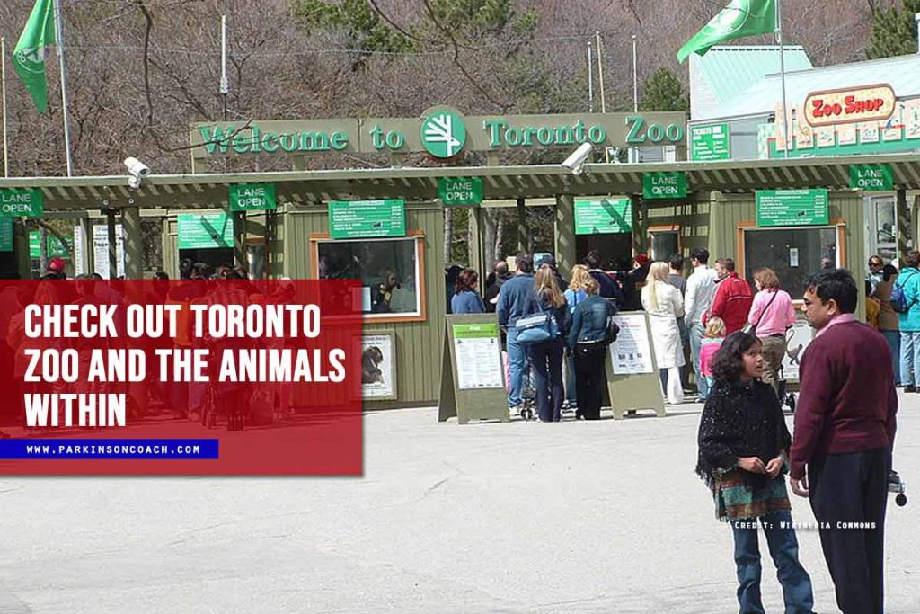 Check out Toronto Zoo and the animals within