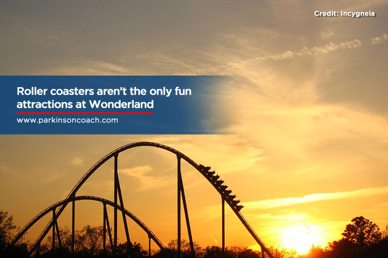 Roller coasters aren’t the only fun attractions