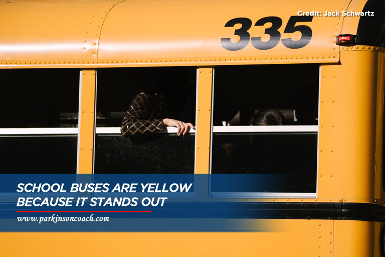 about school buses