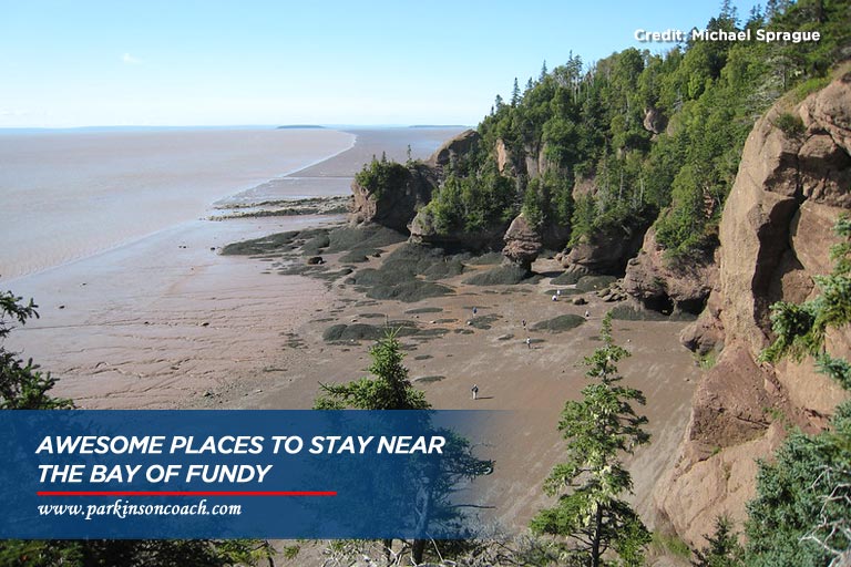 Best Campgrounds in Bay of Fundy