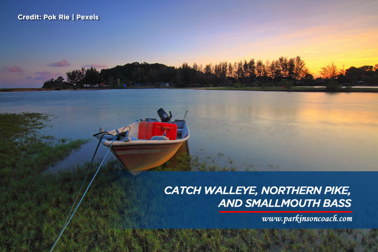 Catch walleye, northern pike