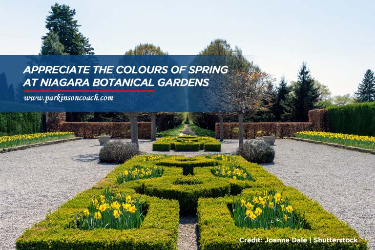 Appreciate the colours of spring at Niagara Botanical Gardens