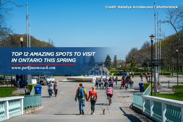 Top 12 Amazing Spots to Visit in Ontario This Spring